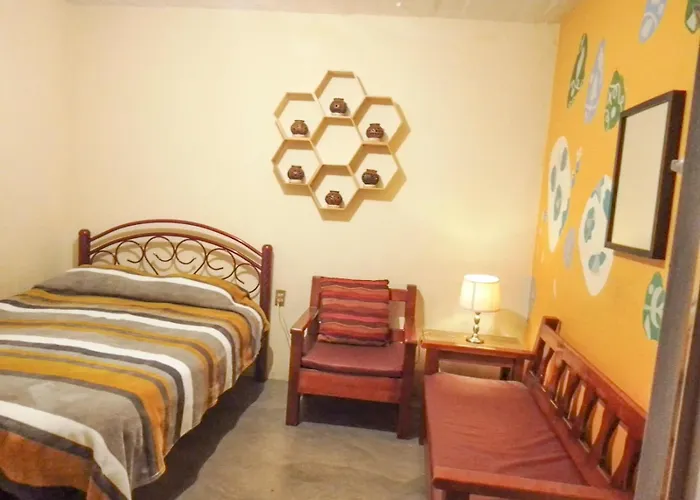 Los Nardos Hostel -Pet Friendly-