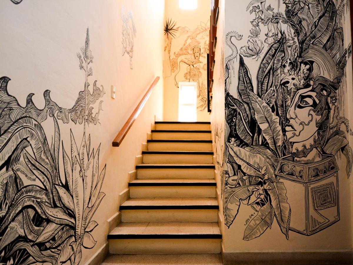 Nardos -pet Friendly- * Oaxaca