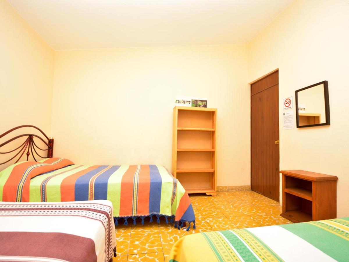 Nardos -pet Friendly- Auberge de jeunesse