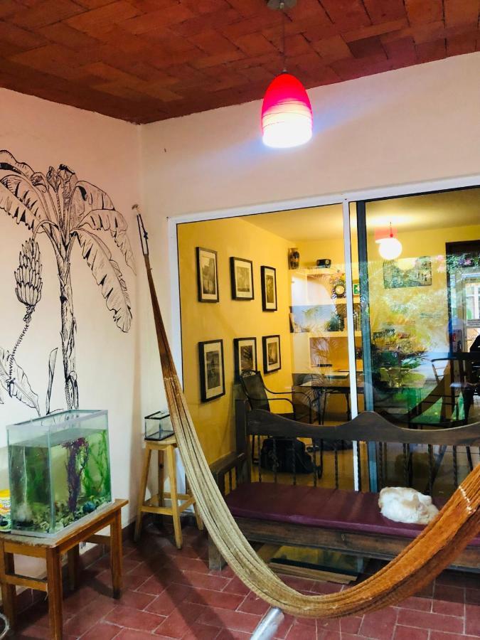 Nardos -pet Friendly- Hostel *