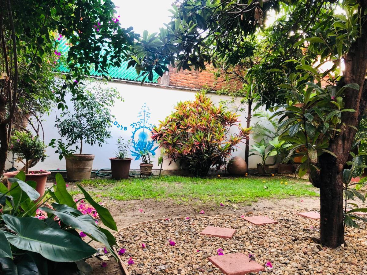 Hostel Nardos -pet Friendly-