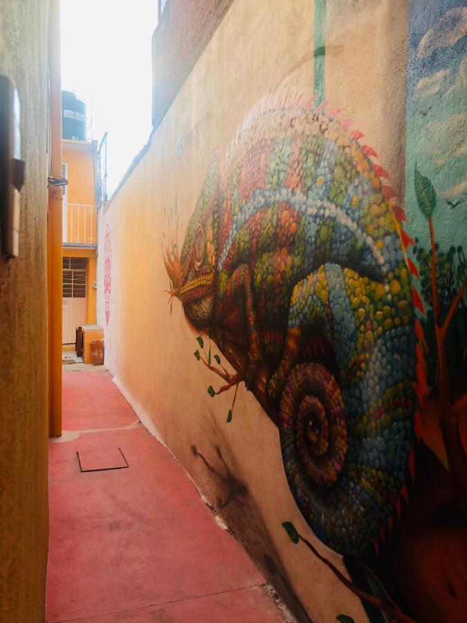 Nardos -pet Friendly- Hostel *