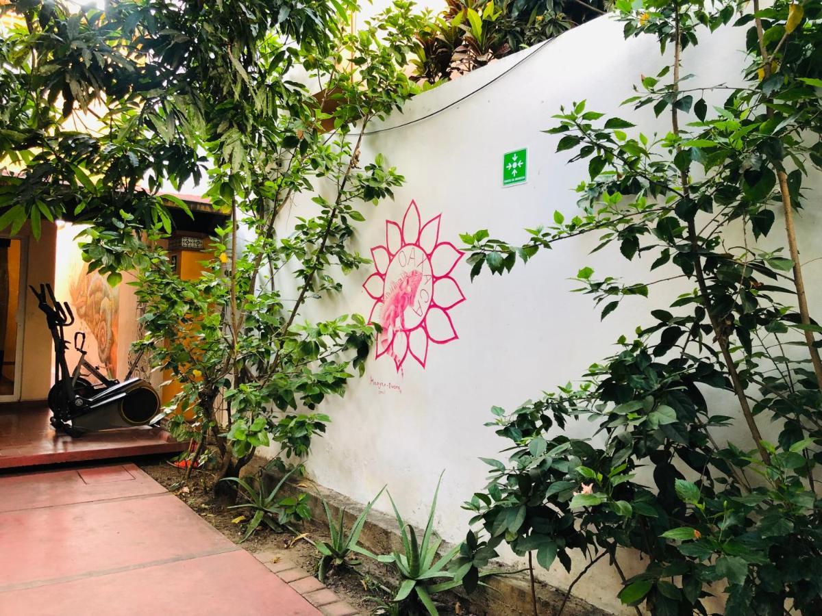 Nardos -pet Friendly- Oaxaca