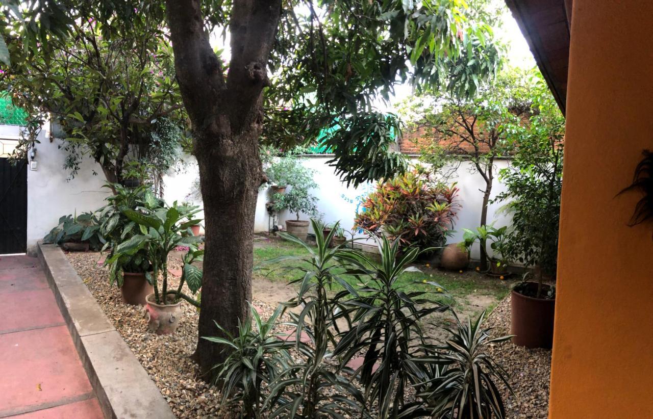 Nardos -pet Friendly-