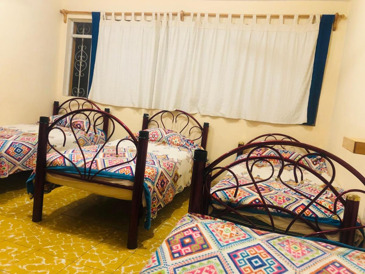 Nardos -pet Friendly- Hostel Oaxaca