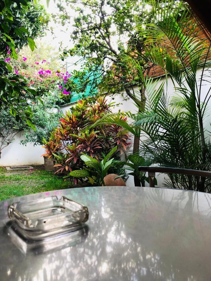 Nardos -pet Friendly- Hostel *