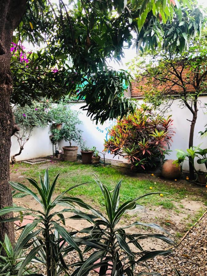 Nardos -pet Friendly- Oaxaca