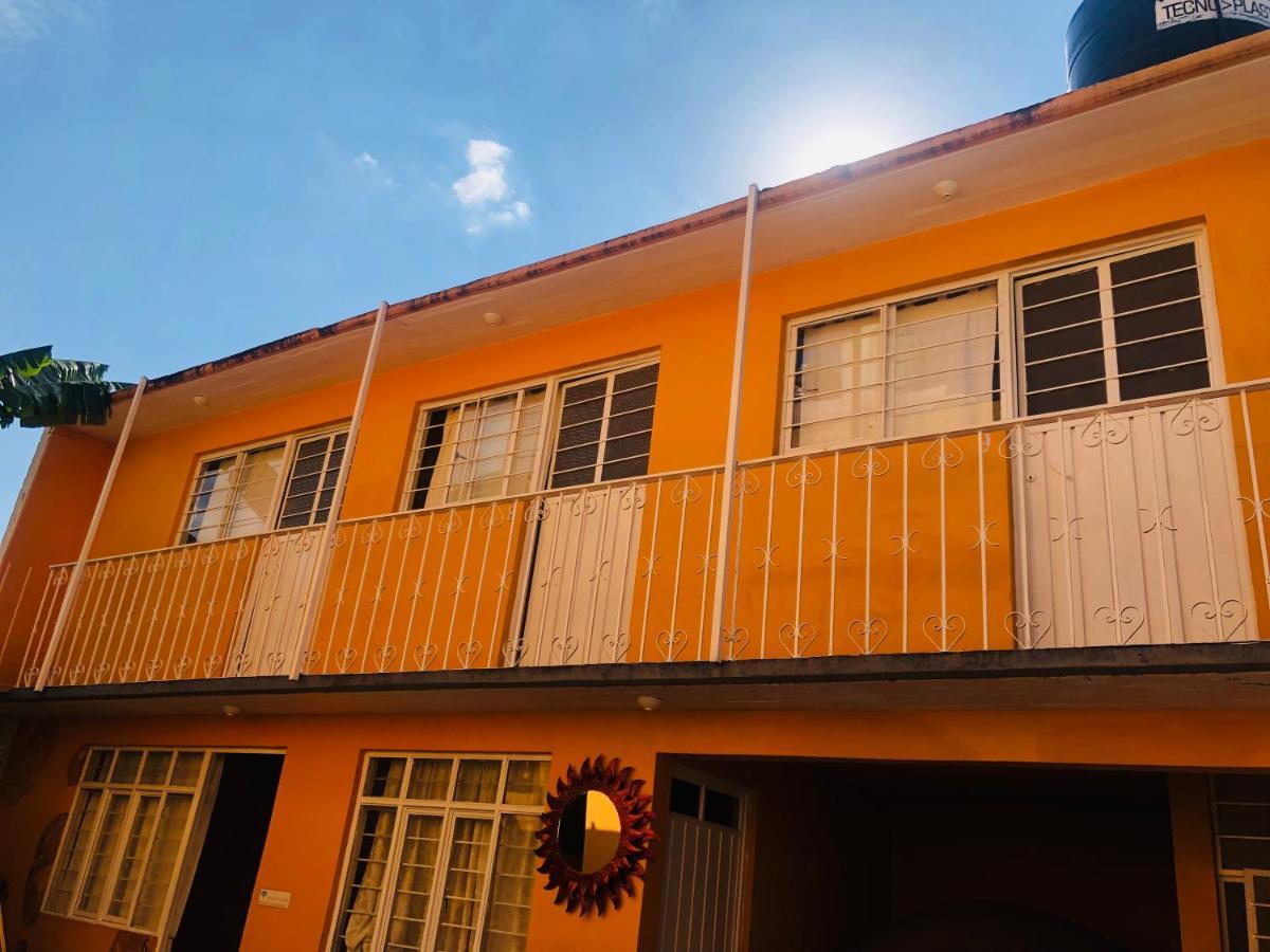 Nardos -pet Friendly- Hostel Oaxaca