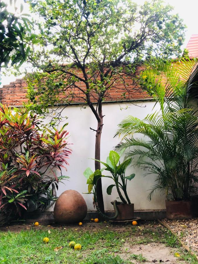 Nardos -pet Friendly- Hostel