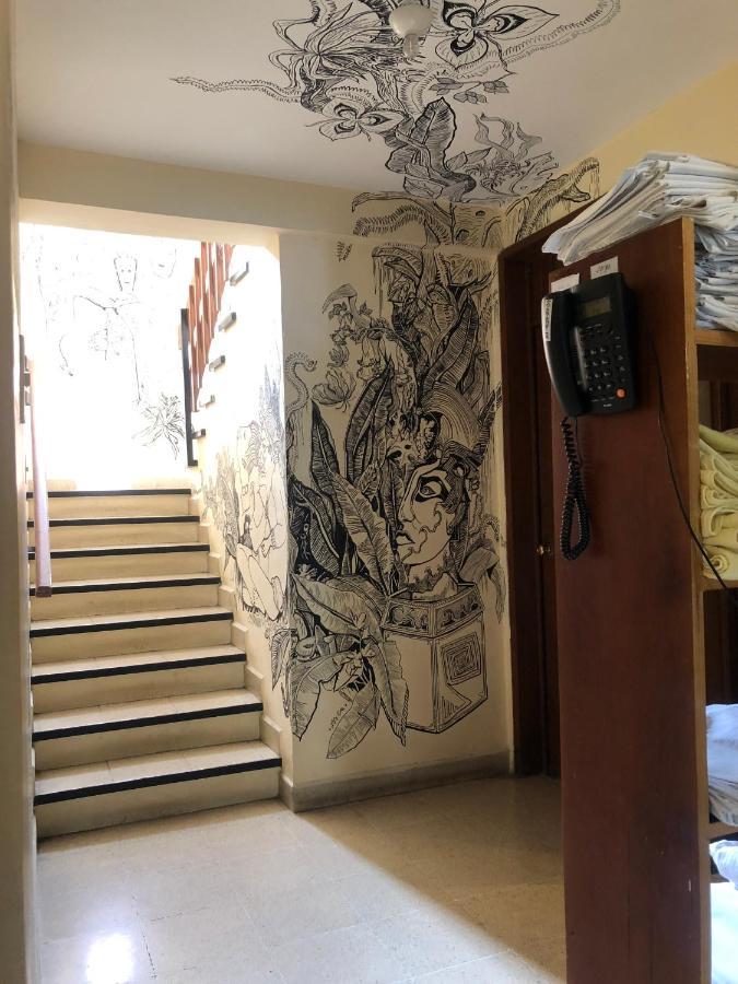 Nardos -pet Friendly-