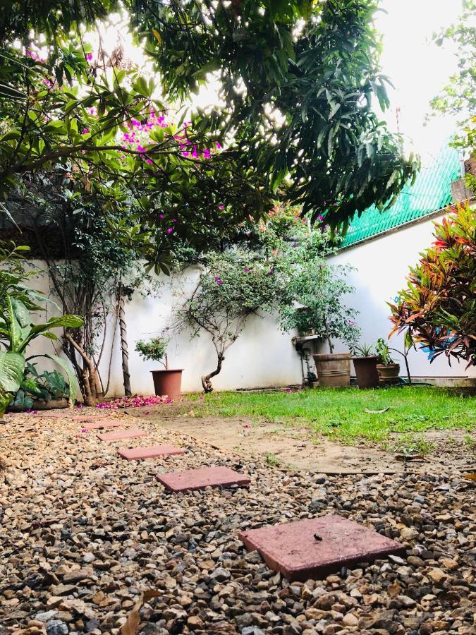 Nardos -pet Friendly- Oaxaca