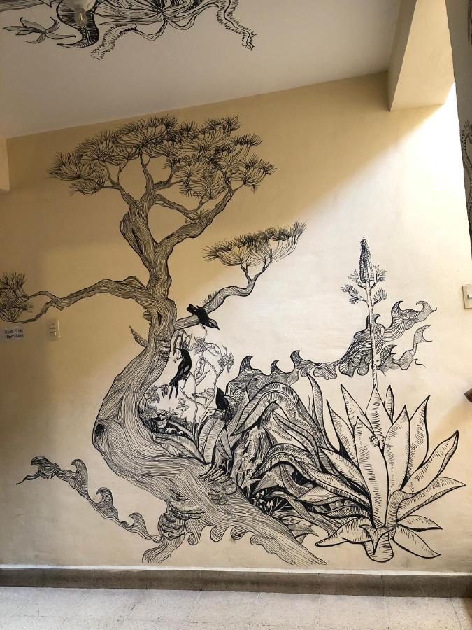 Nardos -pet Friendly- Hostel *