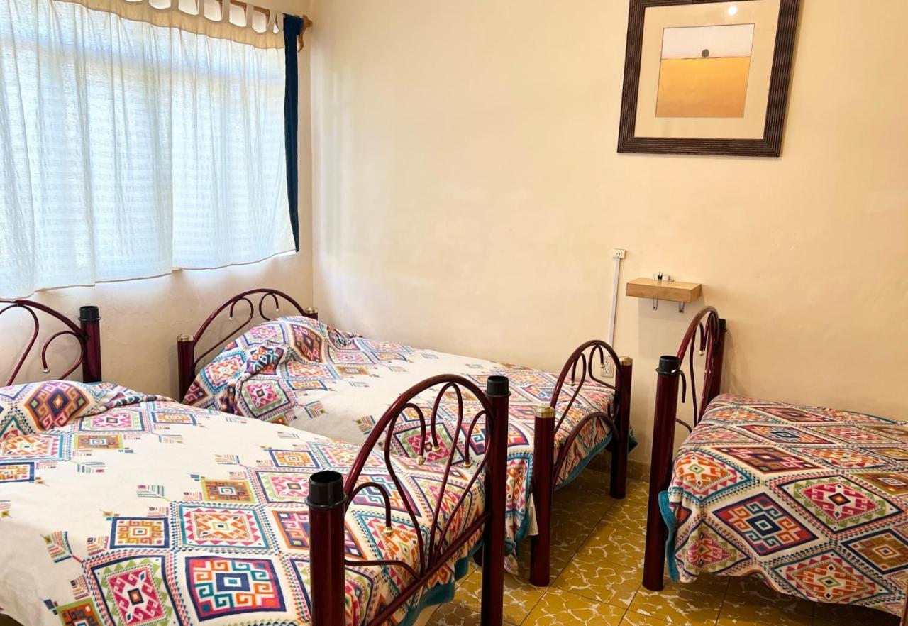 Nardos -pet Friendly- *