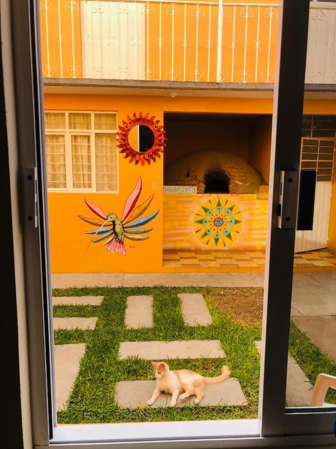 Nardos -pet Friendly- Oaxaca