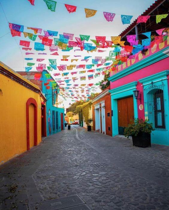 Nardos By Rotamundos Oaxaca